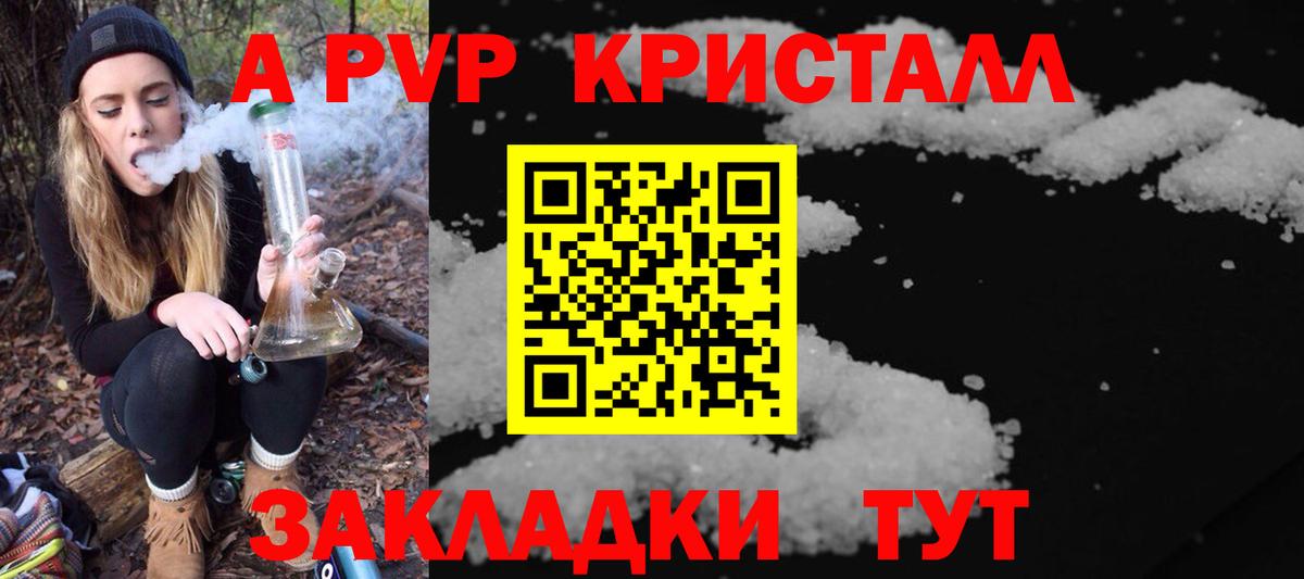 Альфа ПВП СК КРИС Калининград