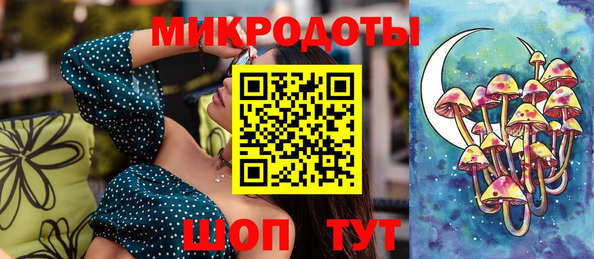 Галлюциногенные грибы Psilocybe Калининград